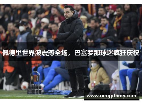 佩德里世界波震撼全场，巴塞罗那球迷疯狂庆祝